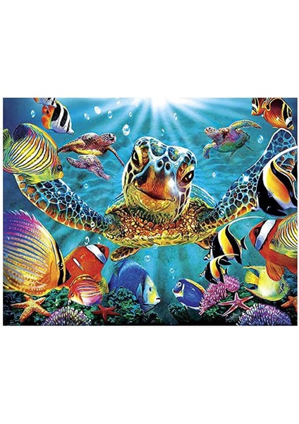 Selfie Karetta Çerçeveli 50X65 Sayılarla Boyama Hobi Seti