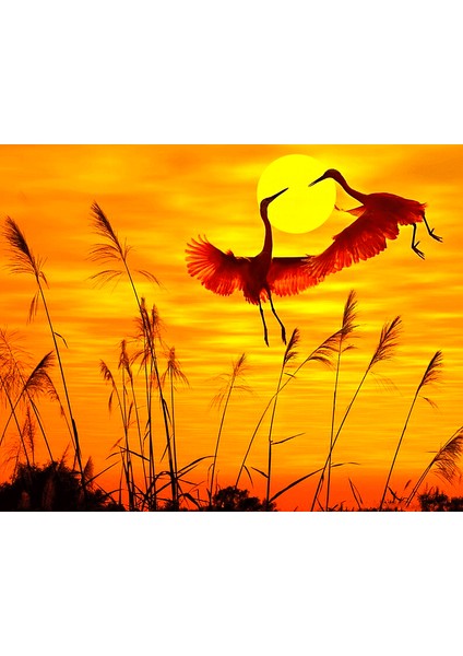 Günbatımı ve Romantik Kuşlar Çerçeveli 50X65 Sayılarla Boyama Hobi Seti