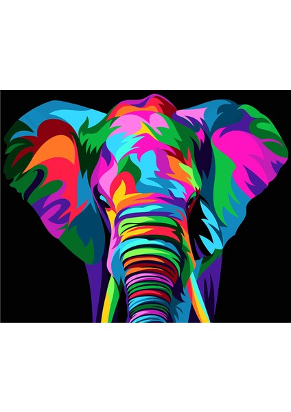 Rengarenk Fil Çerçeveli 40X50 Sayılarla Boyama Hobi Seti