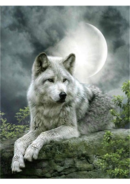 Dolunay Kurt Çerçeveli 50X65 Sayılarla Boyama Hobi Seti