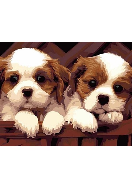 Sevimli Yavru Köpekler Çerçeveli 50X65 Sayılarla Boyama Hobi Seti