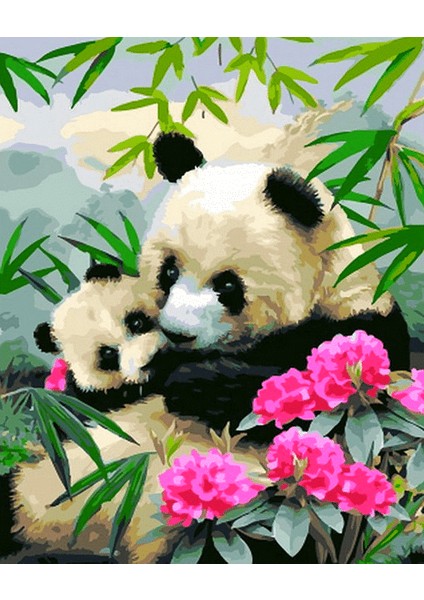 Yavru Panda ve Annesi Çerçeveli 50X65 Sayılarla Boyama Hobi Seti