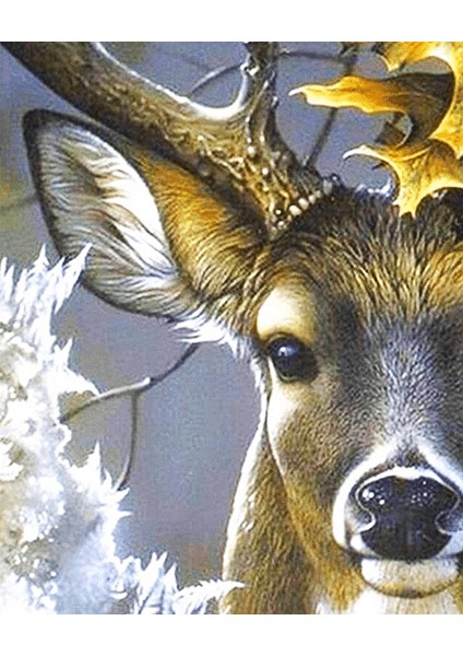 Sevimli Geyik Çerçeveli 50X65 Sayılarla Boyama Hobi Seti