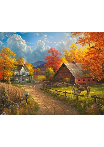 Çiftlik Köy Çerçeveli 60X75 Sayılarla Boyama Hobi Seti