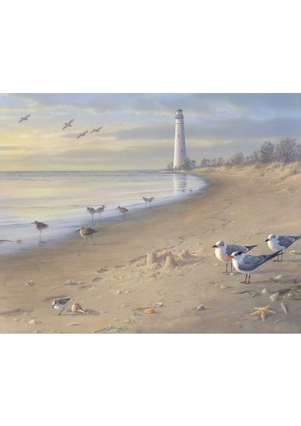 Sahil Kuşları Çerçeveli 60X75 Sayılarla Boyama Hobi Seti