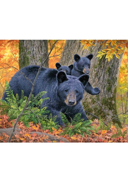 Kara Ayı Çerçeveli 60X75 Sayılarla Boyama Hobi Seti