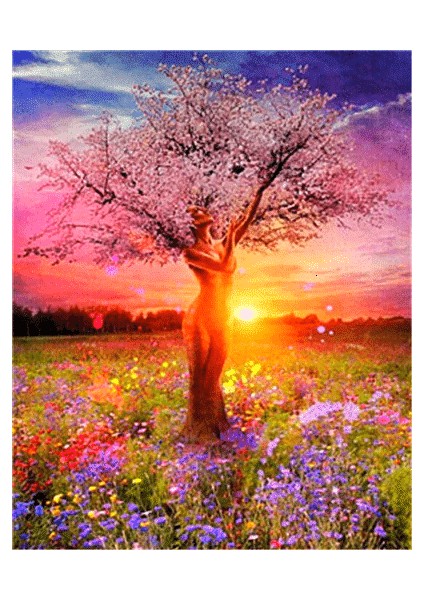 Ağaç Kadın ve Günbatımı Çerçeveli 60X75 Sayılarla Boyama Hobi Seti