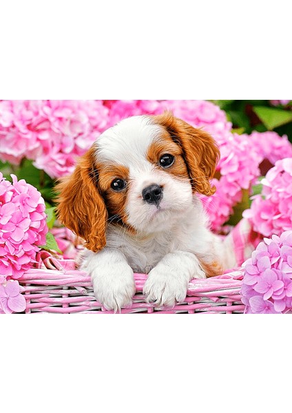 Çiçekler ve Yavru Köpek Çerçeveli 60X75 Sayılarla Boyama Hobi Seti