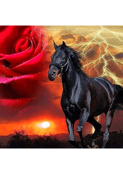 Kırmızı Gül ve Siyah At Çerçeveli 60X75 Sayılarla Boyama Hobi Seti