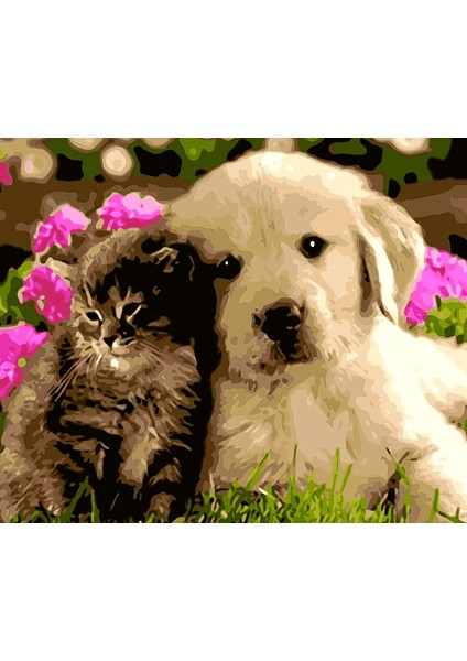 Doğada Iki Dost Çerçeveli 70X90 Sayılarla Boyama Hobi Seti