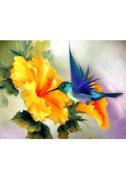 Bal Toplayan Kuş Çerçeveli 70X90 Sayılarla Boyama Hobi Seti