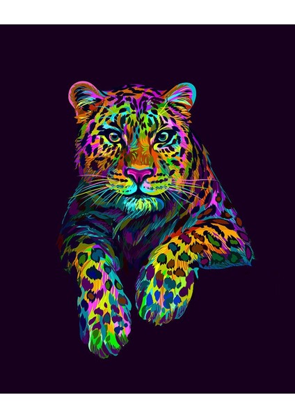 Renkli Panter Çerçeveli 70X90 Sayılarla Boyama Hobi Seti