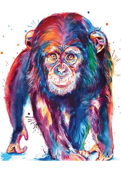 Renkli Maymun Çerçeveli 70X90 Sayılarla Boyama Hobi Seti