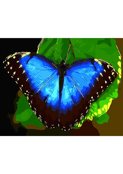 Doğada Mavi Kelebek Çerçeveli 70X90 Sayılarla Boyama Hobi Seti