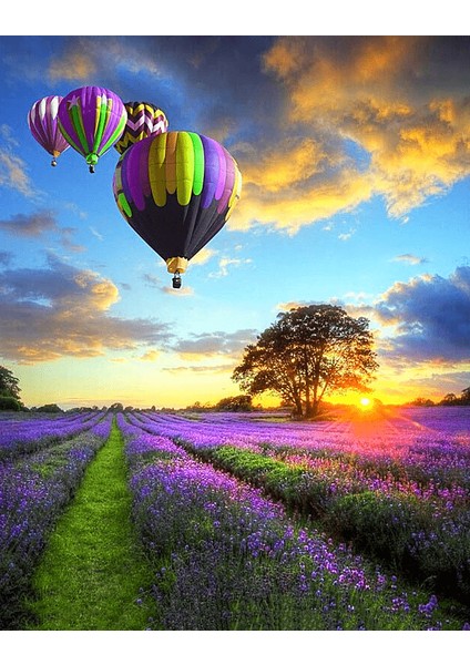 Günbatımı ve Uçan Balonlar Çerçeveli 70X90 Sayılarla Boyama Hobi Seti