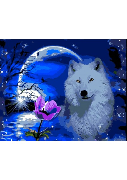 Kurt ve Ay Işığı Çerçeveli 70X90 Sayılarla Boyama Hobi Seti