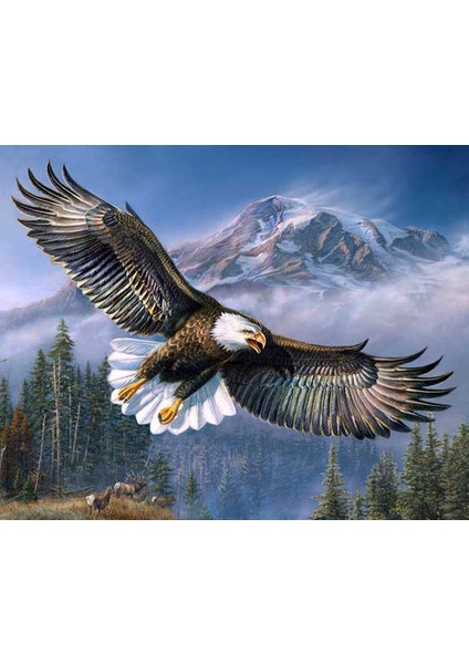 Amerikan Kartalı Çerçeveli 90X110 Sayılarla Boyama Hobi Seti