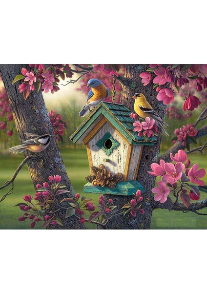 Kuş Ev Çerçeveli 90X110 Sayılarla Boyama Hobi Seti