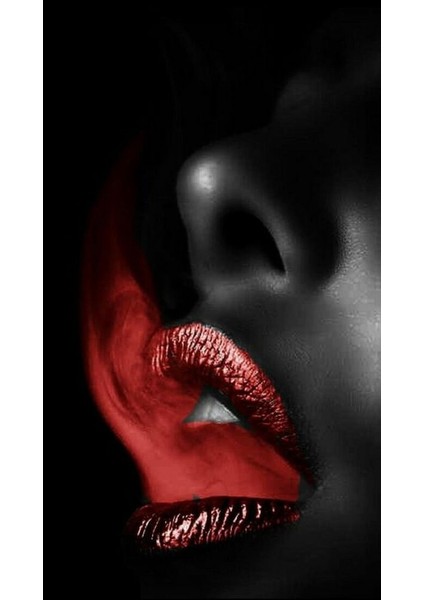 Simsiyah Kadın 3 Çerçeveli 70X90 Sayılarla Boyama Hobi Seti