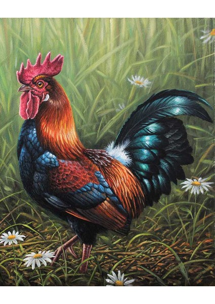 Erken Öten Horoz Çerçeveli 90X110 Sayılarla Boyama Hobi Seti