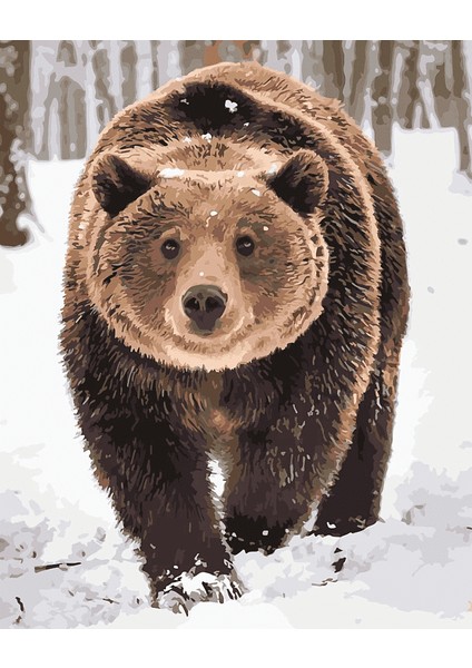 Sevimli Ayı ve Kar Yağışı Çerçeveli 70X90 Sayılarla Boyama Hobi Seti