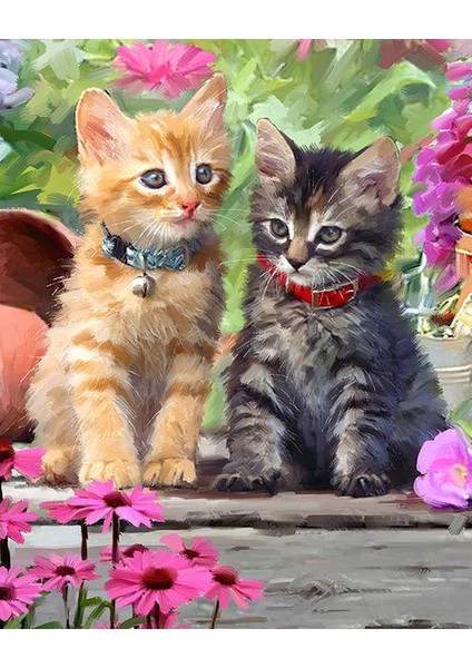 Minnak Kedicikler Çerçeveli 90X110 Sayılarla Boyama Hobi Seti