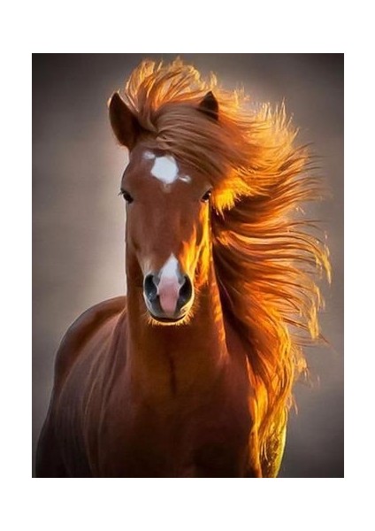 Kahve Katana Çerçeveli 60X75 Sayılarla Boyama Hobi Seti