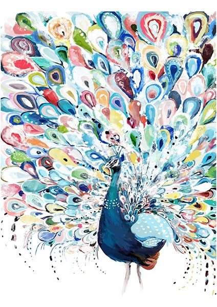 Tavuskuşu Çerçeveli 40X50 Sayılarla Boyama Hobi Seti