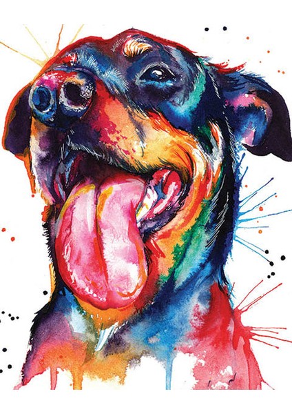 Renkli Rottweiler Çerçeveli 50X65 Sayılarla Boyama Hobi Seti