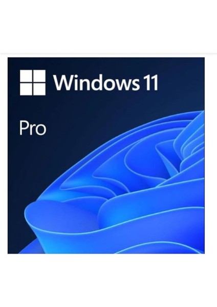 Ms Wındows 11 Pro 32/64 Bit Tr Kutu USB HAV-00159