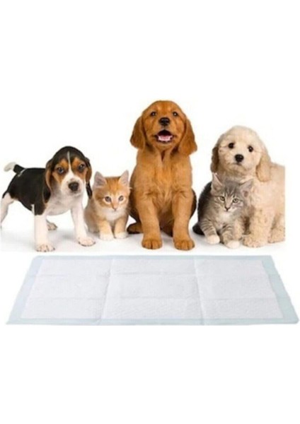 Kedi Köpek Alıştırma Çiş Peti Tuvalet Eğitim Pedi. 30X4 Paket 120 Adet 60X60