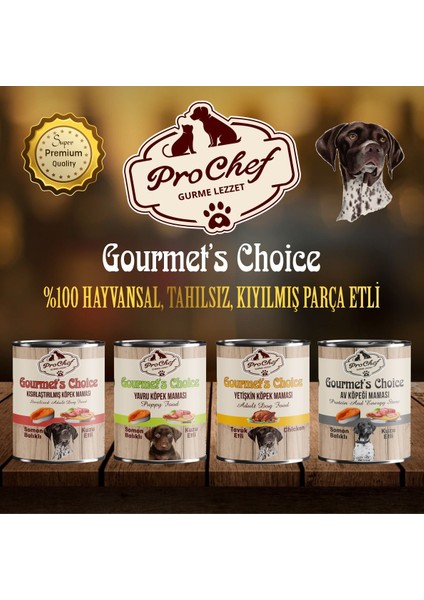 20 Adet Gourmet's Choice Av Köpeği Maması | 415 gr Somon Balıklı & Kuzu Etli Konserve Yaş Mama modelleri