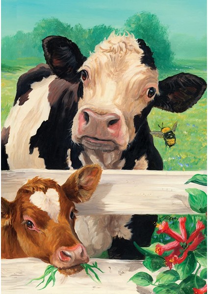 Mö Çerçeveli 60X75 Sayılarla Boyama Hobi Seti