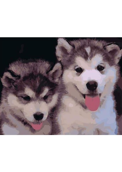 Yavru Köpekler Çerçeveli 60X75 Sayılarla Boyama Hobi Seti