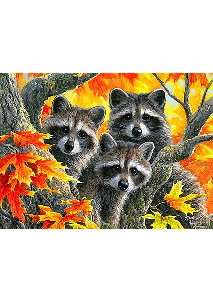 Akçaağaç Rakunları Çerçeveli 60X75 Sayılarla Boyama Hobi Seti