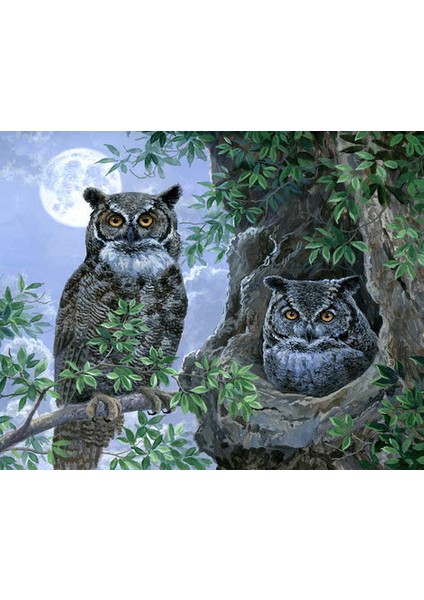Gece Baykuşları Çerçeveli 90X110 Sayılarla Boyama Hobi Seti