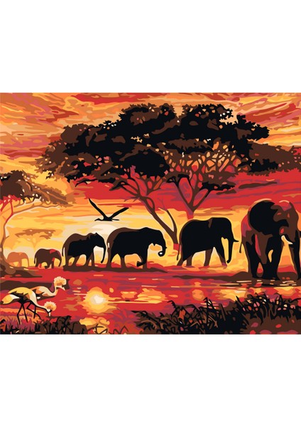 Fillerin Geçişi Çerçeveli 90X110 Sayılarla Boyama Hobi Seti