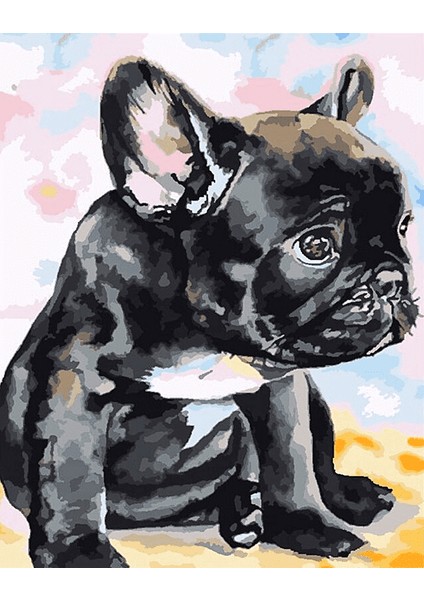 Siyah Köpek Yavrusu Çerçeveli 50X65 Sayılarla Boyama Hobi Seti
