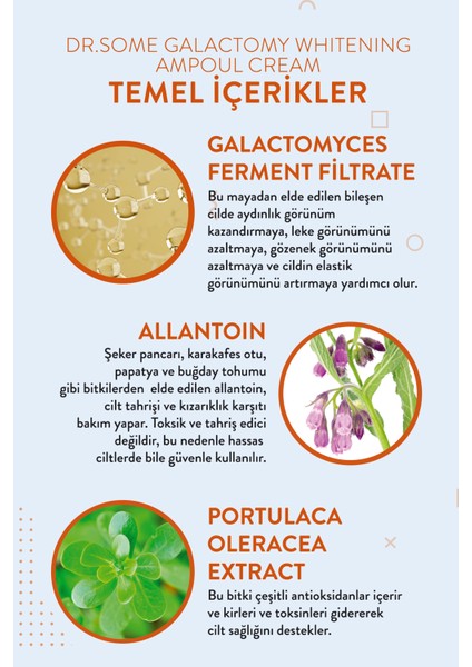 Maya Özlü Cilde Aydınlık Görünüm Veren Leke ve Kore Yüz Kremi 50ML modelleri