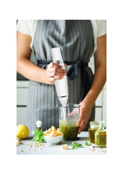 Handy 1500 Watt Paslanmaz Çelik 2 Bıçaklı Hız Ayarlı El Blender