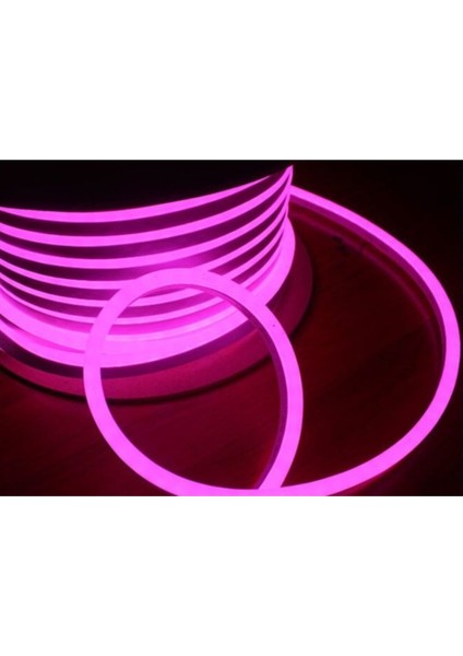 Pembe Neon LED 12V 50MT Top