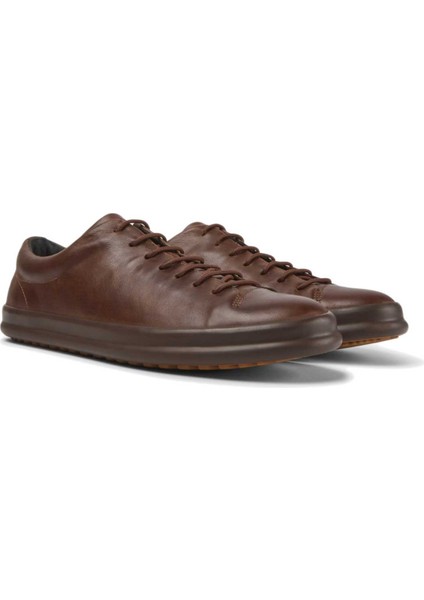 Chasis Sport Erkek Kahverengi Sneaker K100373-019 fiyatları