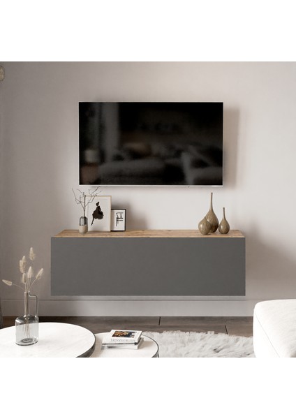 Delphin 100 cm Kapaklı Tv Ünitesi DLP12-AA Çam-Antrasit Gri