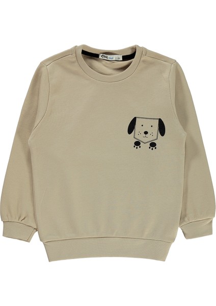 Erkek Çocuk Bej Sweatshirt 2-5 Yaş Bisiklet Yaka Düz Renk Truvakar Kol
