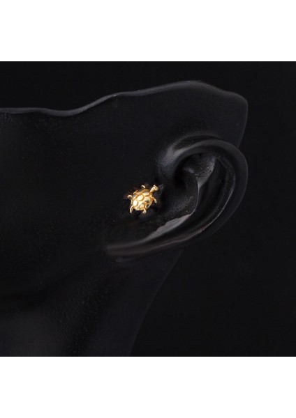 14 Ayar Altın Kaplumbağa Tragus Küpe