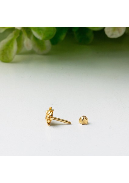 14 Ayar Altın Kaplumbağa Tragus Küpe