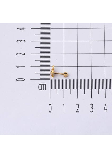 14 Ayar Altın Kaplumbağa Tragus Küpe