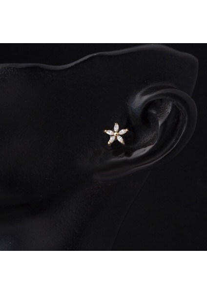 14 Ayar Altın Yıldızlı Tragus Küpe