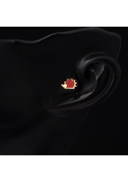 14 Ayar Altın Kırmızı Tragus Küpe