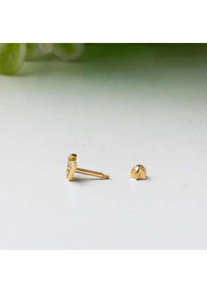 14 Ayar Altın Tragus Piercing Küpe fiyatları